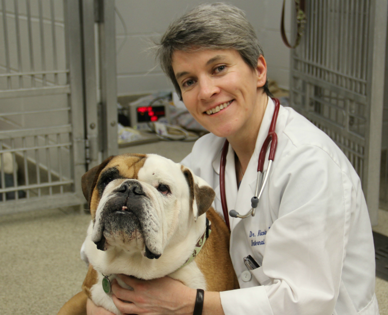 Innovative vaccine offers canine cancer patients a shot at a